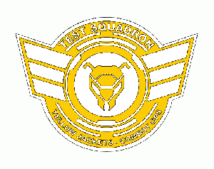 510px-TestSquadronYellowJacketsLogo.gif
