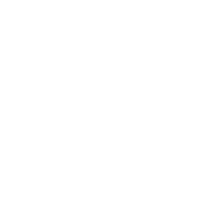 Invictus logo white.png