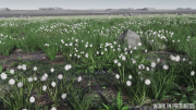 Thumbnail for File:Microtech-fields-biome-02.png