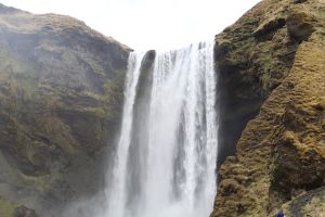 20180505-IMG 3890-2-untitled shoot.jpg