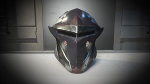 Paladin Helmet 01.jpg