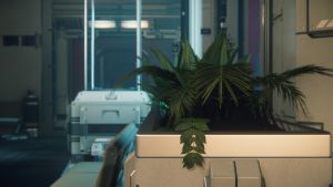 Olisar Plants.jpeg