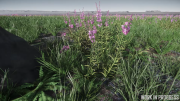 Thumbnail for File:Microtech-fields-biome-05.png